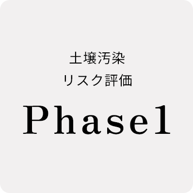 Phase 1評価