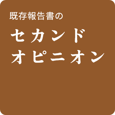 既存報告書のセカンドオピニオン